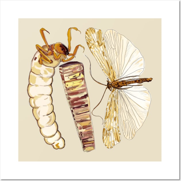 Brachicentridae Caddisfly Wall Art by Animal Surrealism